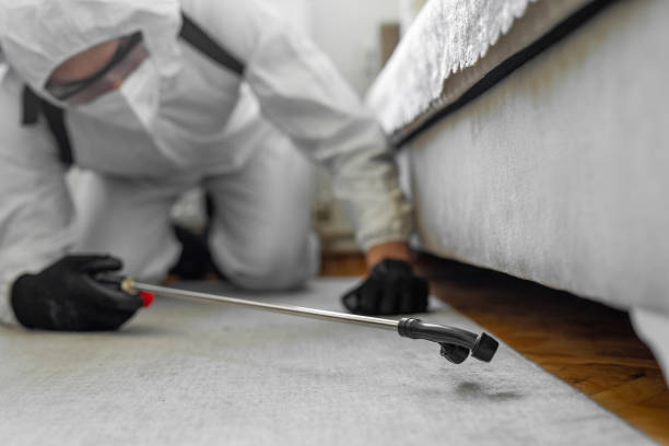 Professional Bed Bug Control technician working in Heppner, OR