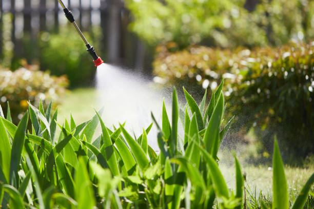 24/7 Emergency Bed Bug Control experts in Heppner, OR