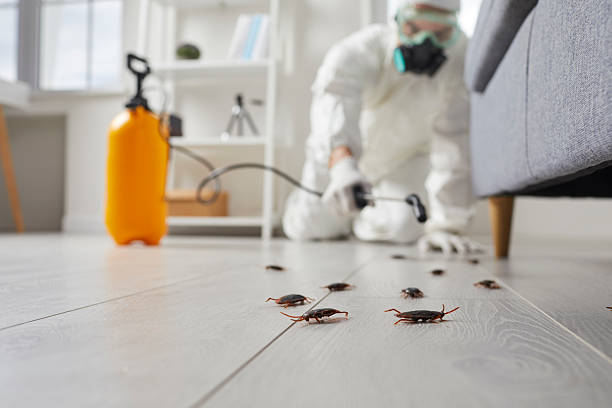 Trusted Fumigation Services service in Heppner, OR - Nex Pest Control