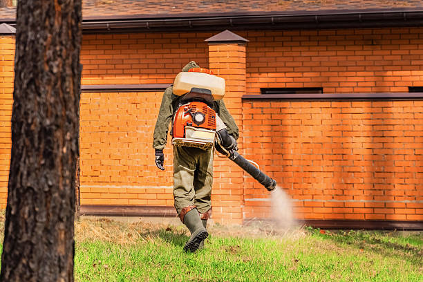 Trusted Mosquito Control service in Heppner, OR - Nex Pest Control